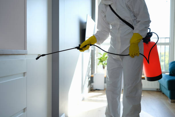 Best Affordable Mold Removal  in Owensboro, KY